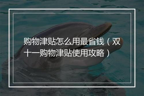 购物津贴怎么用最省钱（双十一购物津贴使用攻略）