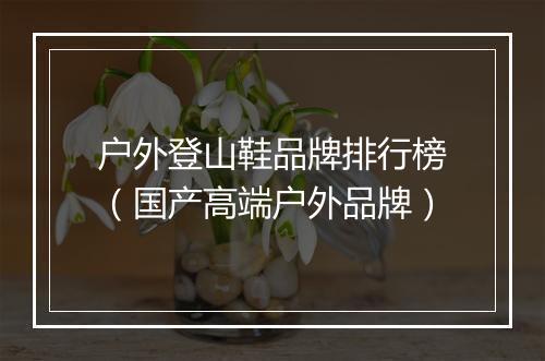 户外登山鞋品牌排行榜（国产高端户外品牌）