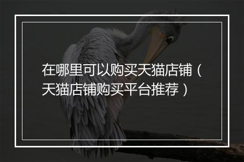 在哪里可以购买天猫店铺（天猫店铺购买平台推荐）