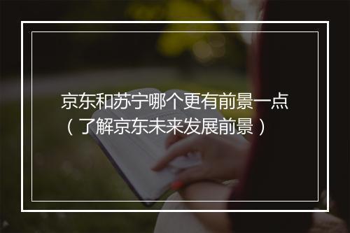 京东和苏宁哪个更有前景一点（了解京东未来发展前景）