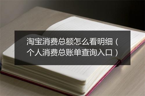 淘宝消费总额怎么看明细（个人消费总账单查询入口）