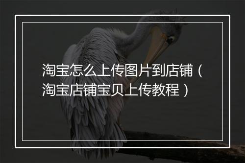 淘宝怎么上传图片到店铺（淘宝店铺宝贝上传教程）