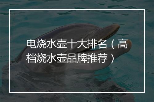 电烧水壶十大排名（高档烧水壶品牌推荐）