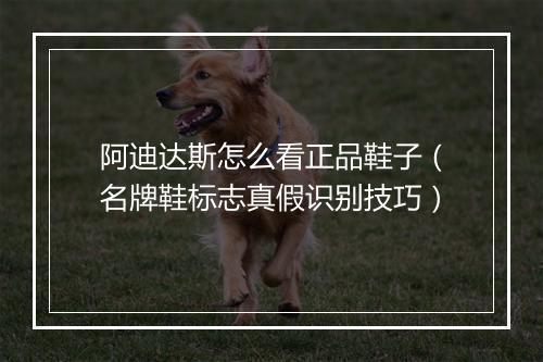 阿迪达斯怎么看正品鞋子（名牌鞋标志真假识别技巧）