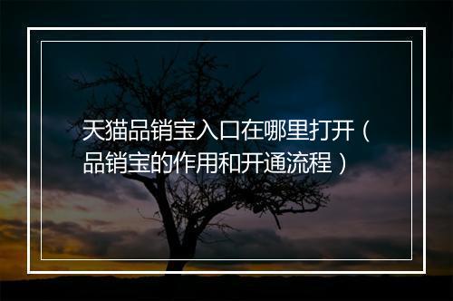 天猫品销宝入口在哪里打开（品销宝的作用和开通流程）