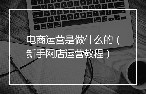 电商运营是做什么的（新手网店运营教程）