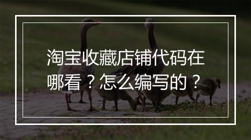 淘宝收藏店铺代码在哪看？怎么编写的？