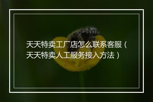 天天特卖工厂店怎么联系客服（天天特卖人工服务接入方法）