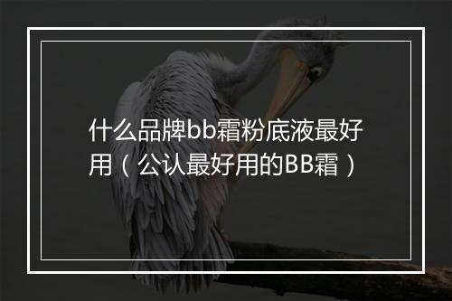 什么品牌bb霜粉底液最好用（公认最好用的BB霜）
