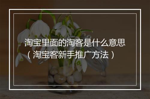 淘宝里面的淘客是什么意思（淘宝客新手推广方法）