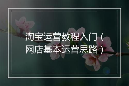 淘宝运营教程入门（网店基本运营思路）