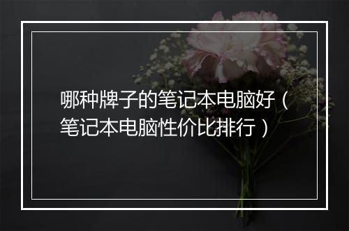 哪种牌子的笔记本电脑好（笔记本电脑性价比排行）
