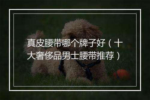 真皮腰带哪个牌子好（十大奢侈品男士腰带推荐）