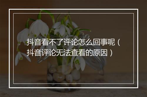 抖音看不了评论怎么回事呢（抖音评论无法查看的原因）