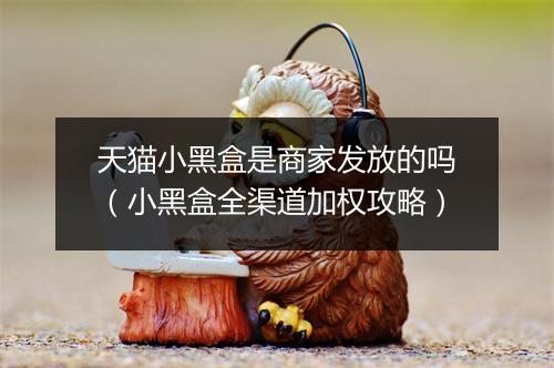 天猫小黑盒是商家发放的吗（小黑盒全渠道加权攻略）