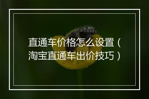 直通车价格怎么设置（淘宝直通车出价技巧）