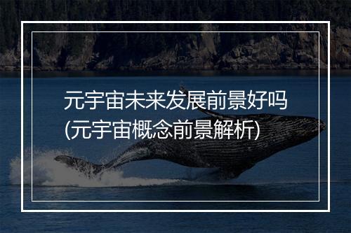 元宇宙未来发展前景好吗(元宇宙概念前景解析)
