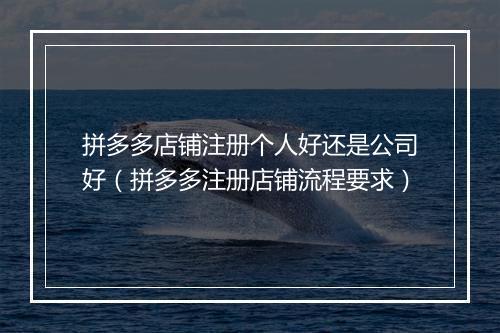 拼多多店铺注册个人好还是公司好（拼多多注册店铺流程要求）