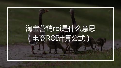淘宝营销roi是什么意思（电商ROI计算公式）
