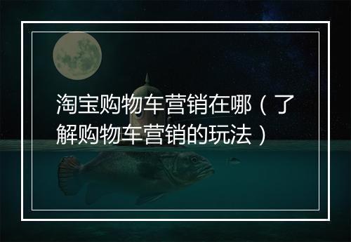 淘宝购物车营销在哪（了解购物车营销的玩法）