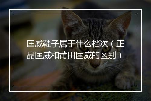 匡威鞋子属于什么档次（正品匡威和莆田匡威的区别）