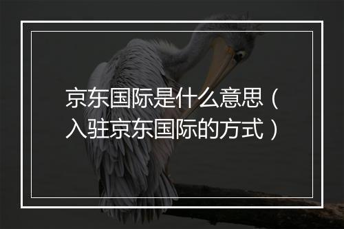 京东国际是什么意思（入驻京东国际的方式）