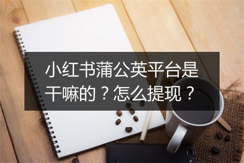 小红书蒲公英平台是干嘛的？怎么提现？