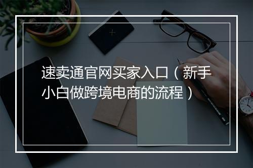 速卖通官网买家入口（新手小白做跨境电商的流程）