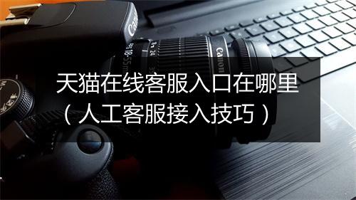 天猫在线客服入口在哪里（人工客服接入技巧）