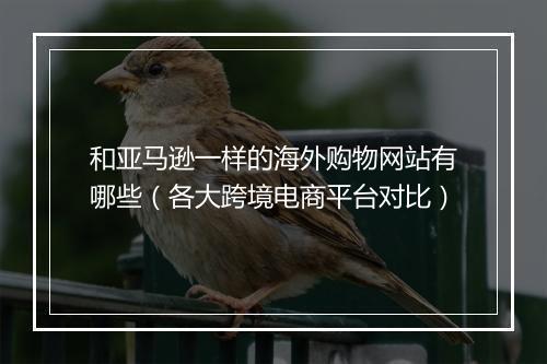 和亚马逊一样的海外购物网站有哪些（各大跨境电商平台对比）