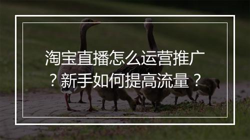 淘宝直播怎么运营推广？新手如何提高流量？