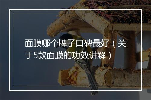 面膜哪个牌子口碑最好（关于5款面膜的功效讲解）
