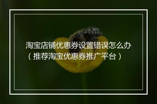 淘宝店铺优惠券设置错误怎么办（推荐淘宝优惠券推广平台）