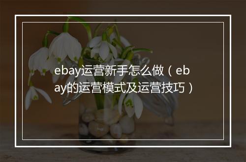 ebay运营新手怎么做（ebay的运营模式及运营技巧）