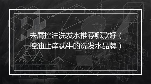 去屑控油洗发水推荐哪款好（控油止痒忒牛的洗发水品牌）