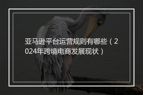 亚马逊平台运营规则有哪些（2024年跨境电商发展现状）