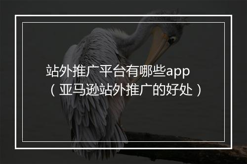 站外推广平台有哪些app（亚马逊站外推广的好处）