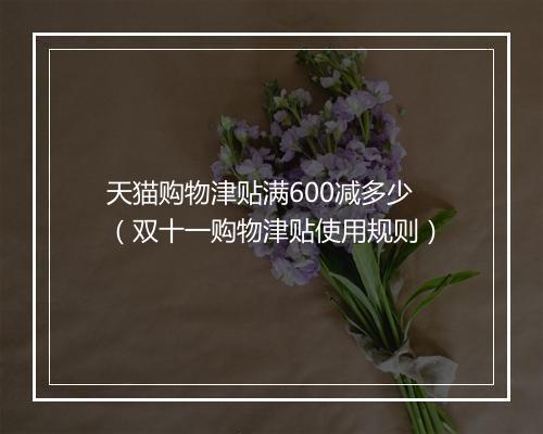 天猫购物津贴满600减多少（双十一购物津贴使用规则）