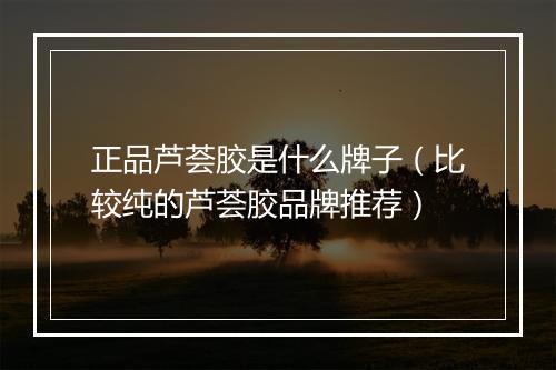 正品芦荟胶是什么牌子（比较纯的芦荟胶品牌推荐）