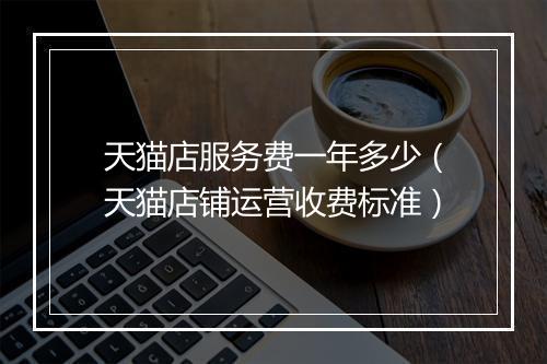 天猫店服务费一年多少（天猫店铺运营收费标准）