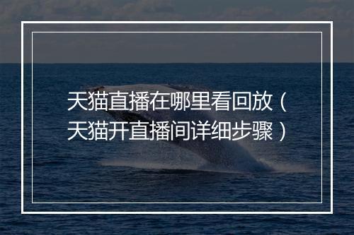 天猫直播在哪里看回放（天猫开直播间详细步骤）