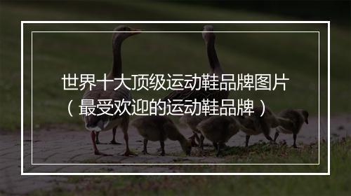 世界十大顶级运动鞋品牌图片（最受欢迎的运动鞋品牌）