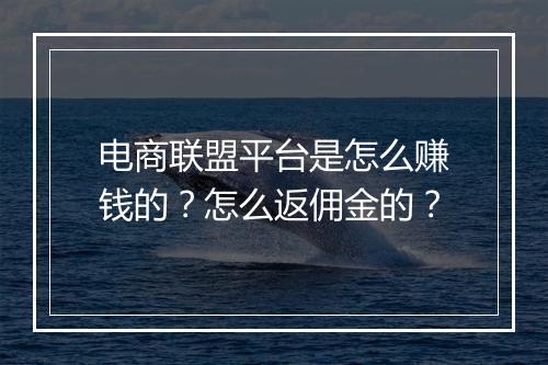 电商联盟平台是怎么赚钱的？怎么返佣金的？