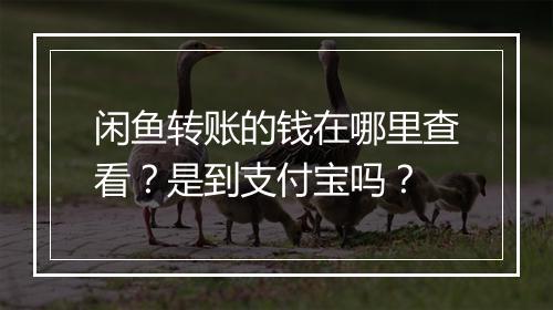 闲鱼转账的钱在哪里查看？是到支付宝吗？