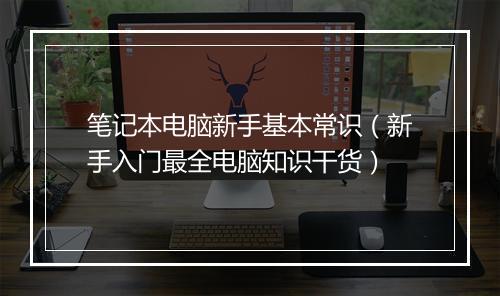 笔记本电脑新手基本常识（新手入门最全电脑知识干货）