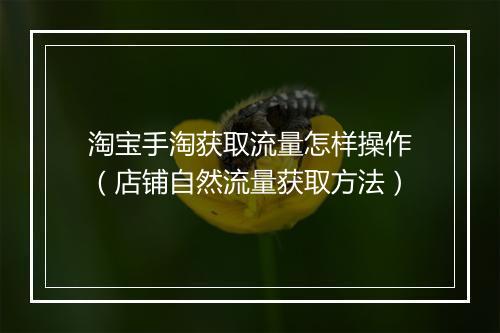 淘宝手淘获取流量怎样操作（店铺自然流量获取方法）