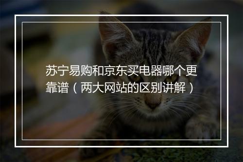 苏宁易购和京东买电器哪个更靠谱（两大网站的区别讲解）