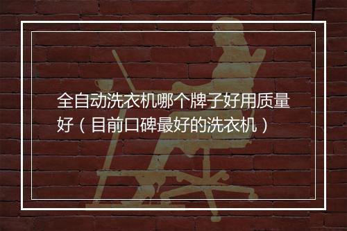 全自动洗衣机哪个牌子好用质量好（目前口碑最好的洗衣机）