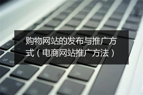 购物网站的发布与推广方式（电商网站推广方法）
