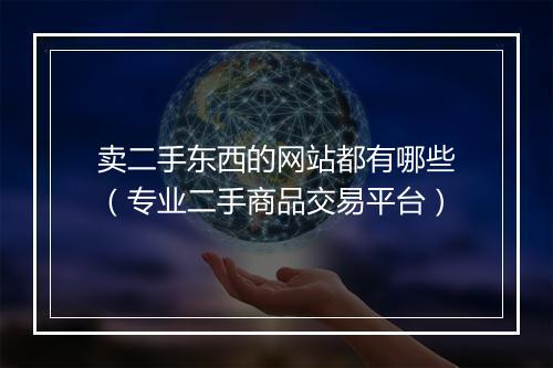 卖二手东西的网站都有哪些（专业二手商品交易平台）